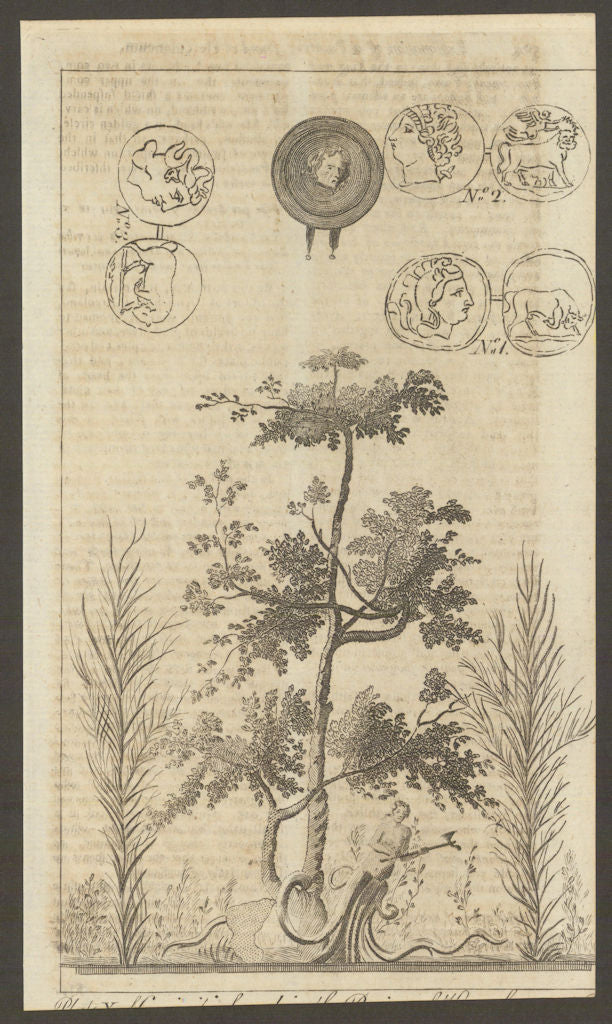 Herculaneum. Medusa's head shield. Dryad with hatchet. Greek coin Massillia 1774